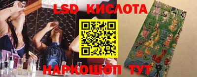 spice Рыбинск