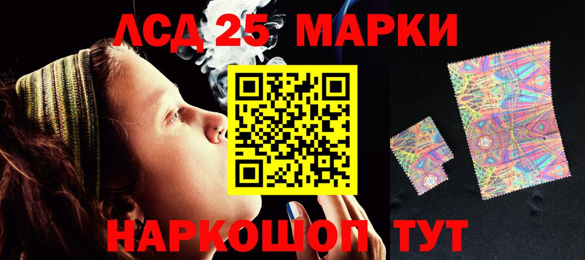 Псилоцибиновые грибы Сальск